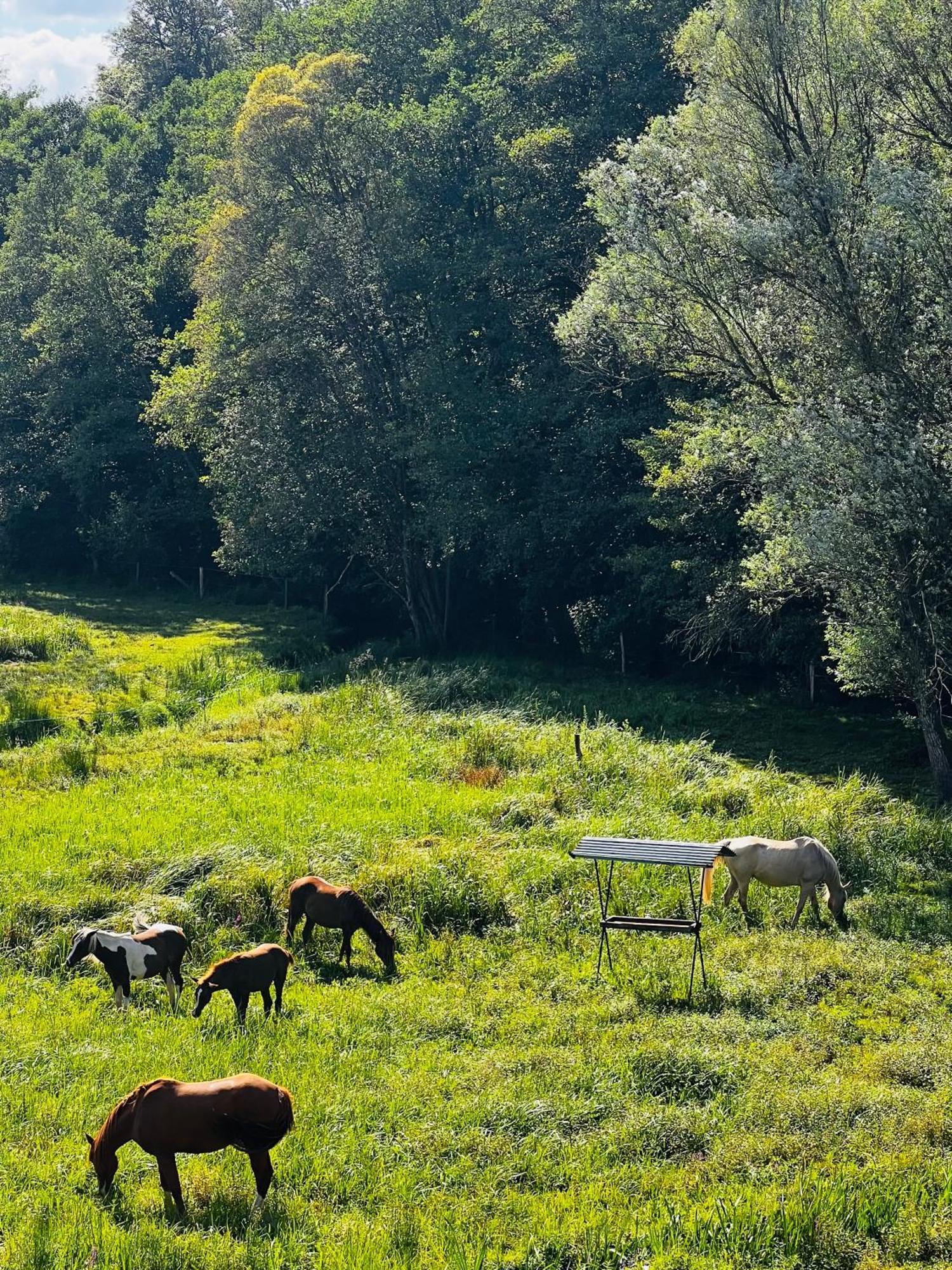 Maison D'Hotes En Pleine Nature Avec Chevaux Soucht Ngoại thất bức ảnh