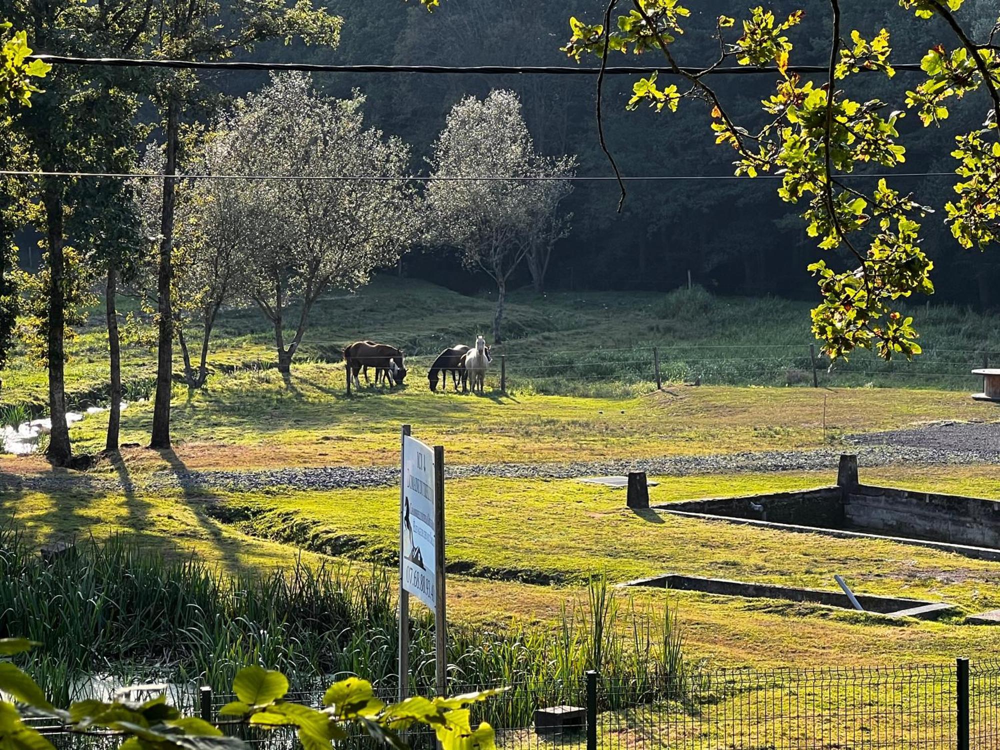 Maison D'Hotes En Pleine Nature Avec Chevaux Soucht Ngoại thất bức ảnh